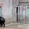 Nagoya ZOO #8