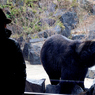Nagoya ZOO #11