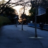 Nagoya ZOO #20