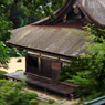 300 years old
