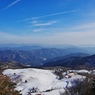 頂