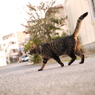 ふっふふ～ん・・・