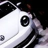 the Beetle