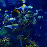 photo_2324069