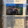 めがね橋　解体？