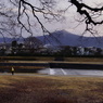 kamogawa