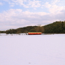 雪原に1両
