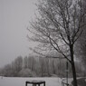 IMG_5159