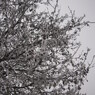 IMG_5176