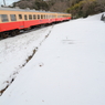 雪原を走れ