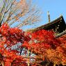 そうだ京都を写そう！真如堂４