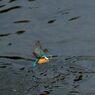 テイク・オフ（離陸じゃなくて離水）