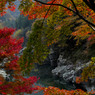 祖谷渓の紅葉