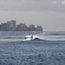 DSC00882