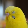 大ちゃん瞑想中