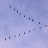空と　風と。