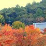 そうだ京都を写そう！永観堂８