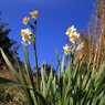 IMG_2488_800