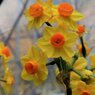 IMG_2507_800
