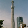 95880020