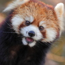 多摩動物公園