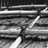 fraying cord