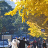 I LOVE YOKOHAMA 46