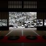 そうだ京都を写そう！妙満寺