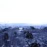 _DSC5263_R