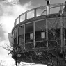 P1145416c