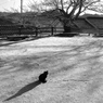 P1145569c