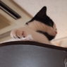 足先