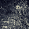 Dungeon　#7