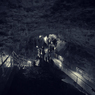 Dungeon　#11