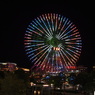 夜の花