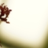 _DSC5728_R