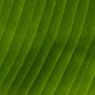 _DSC5740_R