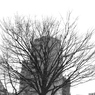 BW 10