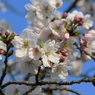 常磐公園にて