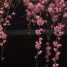 かけがえのない時間