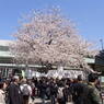 RICOH_RIMG0541_20120408_113333