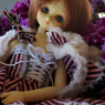 IMGP0794