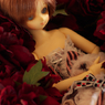 IMGP0806