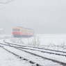 雪の中へ