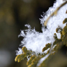 雪の結晶①