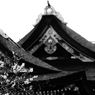 梅と本殿
