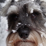 雪遊び-2