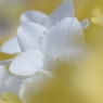 _DSC6719_R
