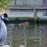 花鳥園にて