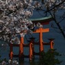 宮島鳥居